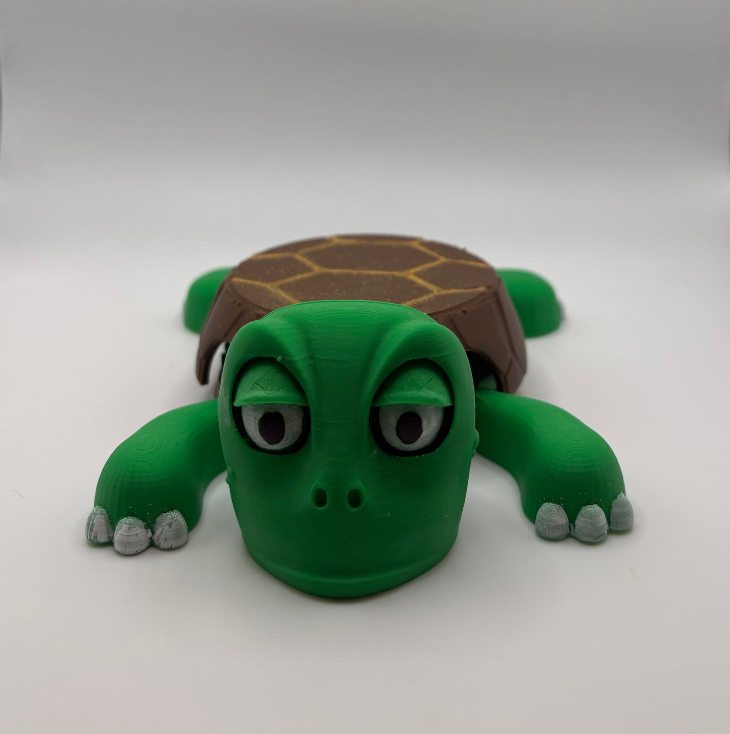 Screaming Turtle Coaster