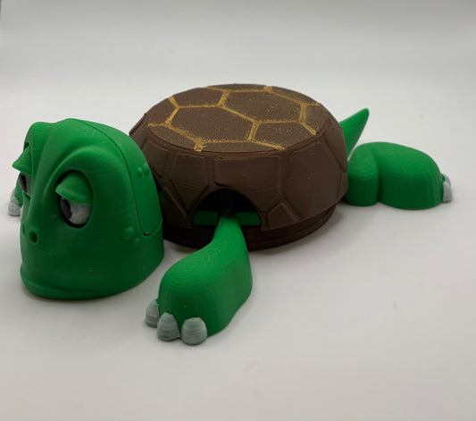 Screaming Turtle Coaster